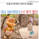 네이처커넥트 이미지