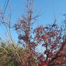 영덕농장 이미지