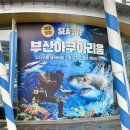 아쿠아리움 | 부산 씨라이프 아쿠아리움 후기 | 예매, 가격, 공연 시간, 주차