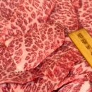 동남(아) 이미지