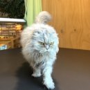 데코믹스김포사우점 네이버블로그