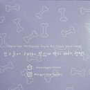 도그펄슨 | 강아지 다이어트 기능성 간식 도그펄슨 언박싱 후기