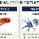 이오피쉬 이미지
