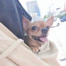 펫홈종합동물병원 이미지