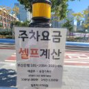 찐스시
