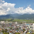 다인세무회계사무소 - 11633 | 다인세무회계사무소