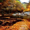 경기 행정사 합동사무소 이미지