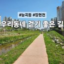 장현천 이미지