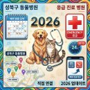보성통증동물병원 | 2026 성북구 동물병원 예약 총정리 (+응급 진료 병원 바로가기)