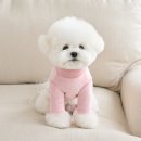 마이멍멍 이미지