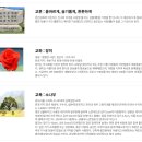 춘천삼육초등학교 이미지