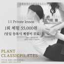 플랜트클래식필라테스