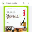 조셉필라테스오리지널매트동작수업 이미지