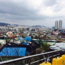 유달산 딸기