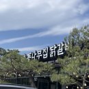 통나무숲 이미지