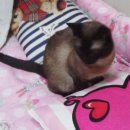 상봉2동 (3) 이미지