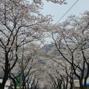 한수면행정복지센터 이미지