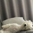 광주약국 이미지