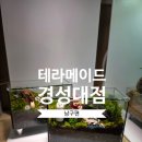 혜니메이드