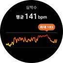 크로스핏 오늘 이미지