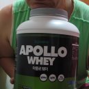 아폴로 헬스클럽 이미지