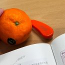 우리의밤은당신의낮보다아름답다