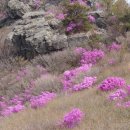 강서체육공원 이미지