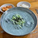 신촌 풍년칼국수 콩국수 존맛탱 내돈내산