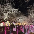 진해구 충장로 666 앞 | 진해 군항제 방문후기/ 영업시간및 무료주차꿀팁