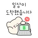 뽕자살롱 이미지