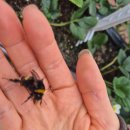 양산시농업기계임대사업소 | [경남 양산] 도시와 농촌이 상생하는 곳, ‘양산시 농업기술센터’를 소개합니다!