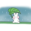 하늘 태권도 줄넘기 이미지