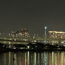 2024-03-0091 - 옥천군 | 2024-03-0091