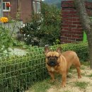 헤리