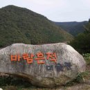 편백림 이미지