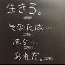 기이한 일상