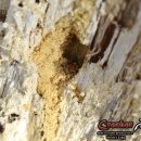 목천IC주유소 이미지