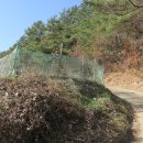 남사1리 이미지