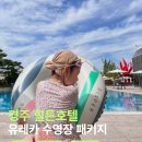 유레카 | 경주 힐튼 유레카 수영장 패키지 이용후기｜체크인 전 이용 가능! 요금·운영시간 총정리