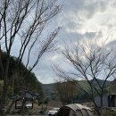 키즈캠핑장 추천 인제 내린천 보랏빛오토캠핑장