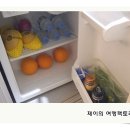 광안리 진미횟집 Daum카페