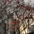 메리트공인중개사사무소 이미지