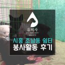 유미사 이미지