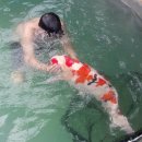 예일학원 이미지