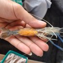 (주)글로비트 이미지