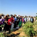 영후농장 이미지