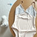 [발레복] 유미코 다리아 (다니엘라 거스비교)