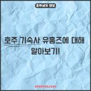 해운대강남A부동산중개 | 호주 기숙사, 부동산, 쉐어하우스, 호주 유학의 시작 유홈즈