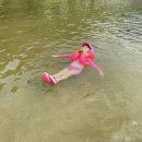 금수문화공원야영장(1) 이미지