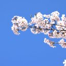 안성컨트리클럽 이미지